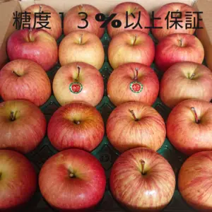 青森りんご 糖度１３%以上自然農法訳アリ葉とらずサンふじ５kg２０個入り