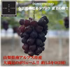 【数量限定】山梨県産 超プレミアムブドウ‼富士の輝(約1.5㎏/2房)