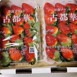奈良県ブランドいちご【古都華】