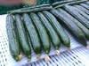 ✨朝採り 越冬きゆうり(新物)