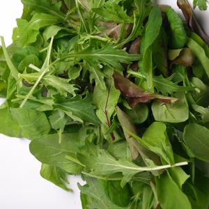 簡単！！新鮮サラダ！！ベビーリーフ！！