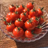 \初出品/ 採れたて新鮮＊漢方栽培 ミニトマト