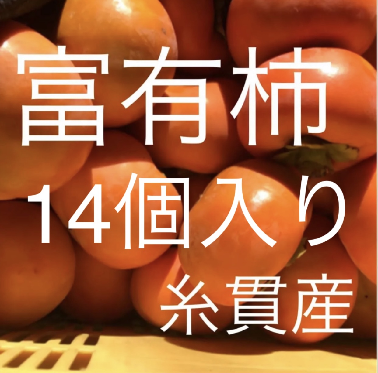 春夏新作 ふるさと納税 本巣市 福井農園の富有柿Lサイズ 14個入 gaviao.ba.gov.br