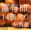 甘さあふれる‼️富有柿Lサイズ14個入り⭐️産地直送