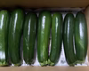 訳あり、ズッキーニ 群馬県産（常温発送)