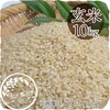 自然栽培のイセヒカリ（玄米・10kg）