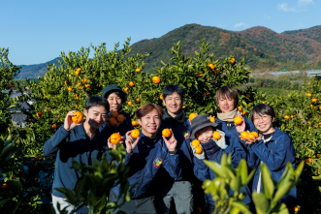 三ヶ日産ブラッドオレンジジュース 100％ストレート720ml×3本セット