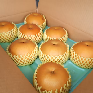 R6 BA5 『自家用』特大あきづき５Kｇ(6.7.8個)