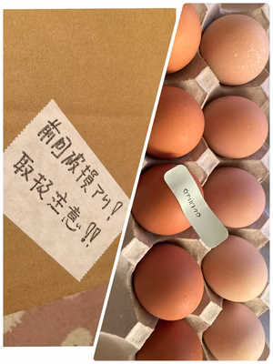 みんなの投稿の画像