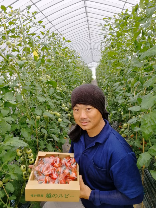 夏の恵み！！トマトらしい甘みと酸味の越のルビー