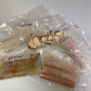 青島の魚介お任せパック（真空）冷凍