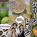 門脇慎一 | 門脇農園