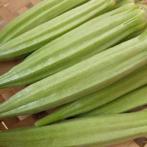 自家採種(家宝種)多角オクラ