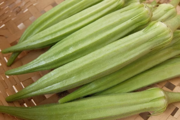 自家採種(家宝種)多角オクラ