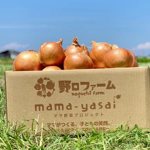 野菜の玉ねぎの商品一覧(80ページ目)｜ポケットマルシェ｜産直