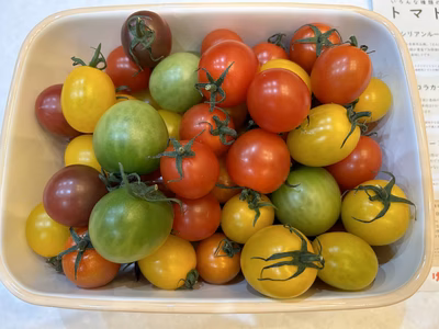 みんなの投稿の画像