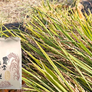 炊き上がり真っ白なお米！奈良県産の【玄米】農薬不使用・化学肥料不使用