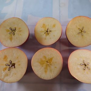 2種盛り！丸かじりサンふじ＋みだぐなしラフランス小玉訳あり箱込み7キロ