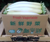 ＜味染み抜群！＞青首だいこん「冬自慢」【２０ｋｇ】※収穫当日発送