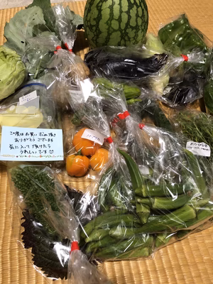 みんなの投稿の画像