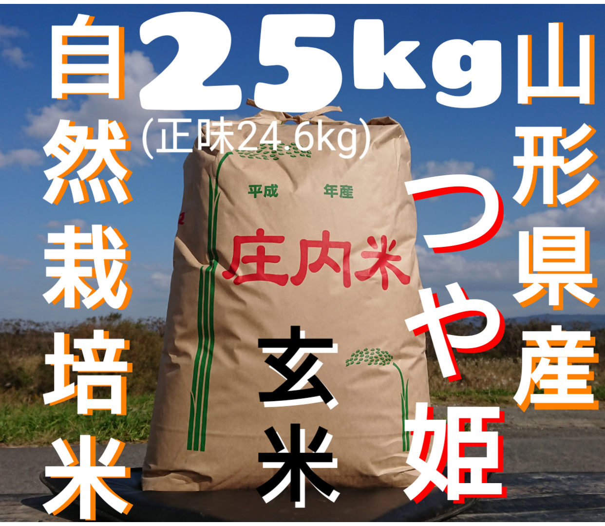 【中米】令和4年新米　山形県庄内産　中粒米　玄米25kg 中米】令和4年新米 山形県庄内産 中粒米 玄米25kg