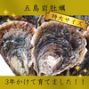 希少なLL～特大16個！ずっしり濃厚「五島列島」岩牡蠣　(生食用)