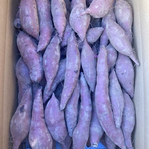 【一口サイズ】熟成べにはるか　土付き　2Sサイズ