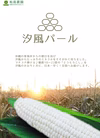 再販！5/10より順次出荷！糖度20度超え！白いとうもろこし 一箱12本