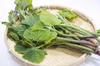 天然山菜 「新鮮あいこ」くせのないみずみずしい山菜 おひたし・ごま和えで