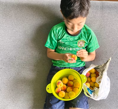 みんなの投稿の画像