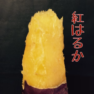  秋田県産2S〜Sサイズ　紅はるか　約2kg