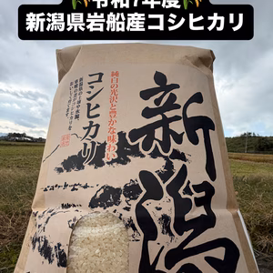 【今年限定R7年新米SALE‼️】新潟県産コシヒカリ2kg〜　冷蔵庫保管品　白米