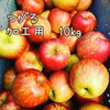 ジュースやジャム、お菓子にどうぞ！　サンつがる　加工用　10kg