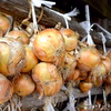 淡路島産たまねぎといえばコレ『中生たまねぎターザン』