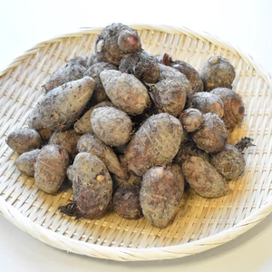 和らぎ農法　里芋　赤芽大吉便（約5kg）