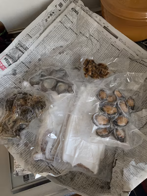 みんなの投稿の画像