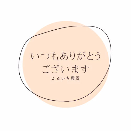 専用出品（にこまる精米3キロ×2）