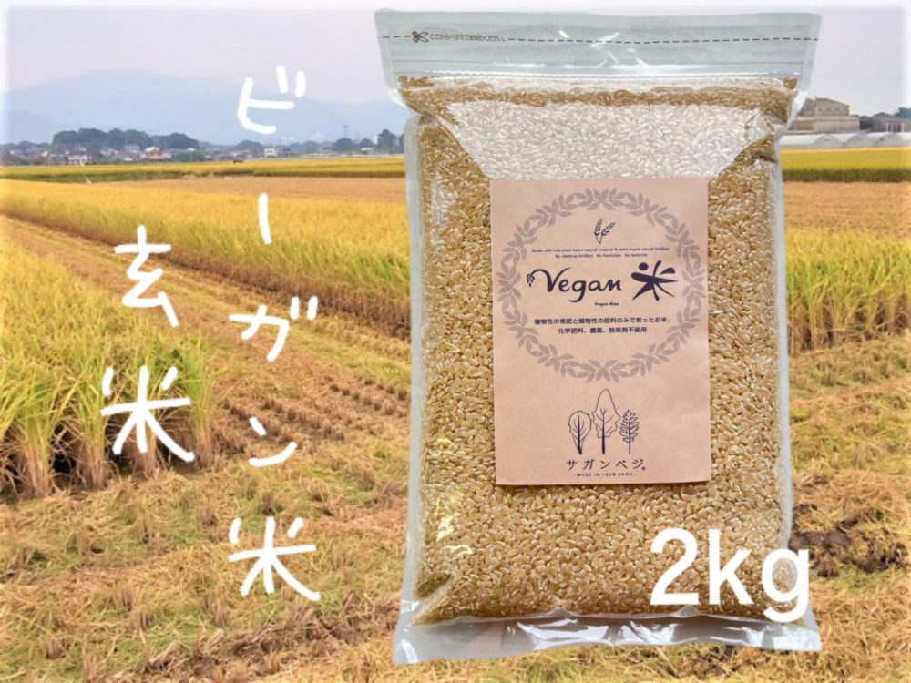 農薬完全不使用 植物発酵肥料コシヒカリ 白米5kg - 米・雑穀・粉類