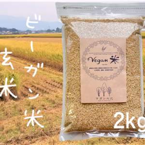 植物性で育てたビーガン米 2㎏ 玄米【化学肥料、農薬、除草剤不使用】