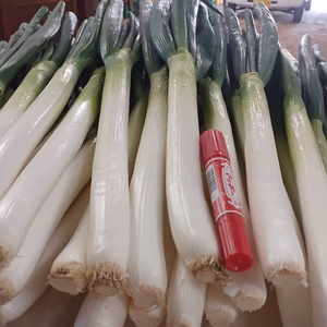 ✅皮むき白ネギ✅極太2L/超極太3L混合24本❗❗4,480円→2,100円✅