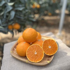 新品種　小玉の【プリンセス】まどんな×甘平のサラブレッド　(訳あり家庭用)