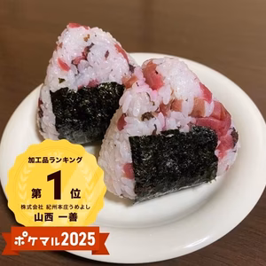 ＜送料一律＞紀州産カリカリ南高しそ梅170ｇ×1～5袋・300ｇ