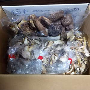 原木乾しいたけ（詰め合わせ）