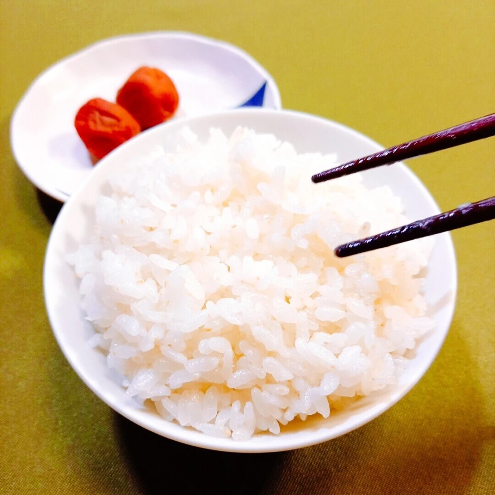 【新米】有機JAS転換期間中：自然農法ササニシキ10㎏