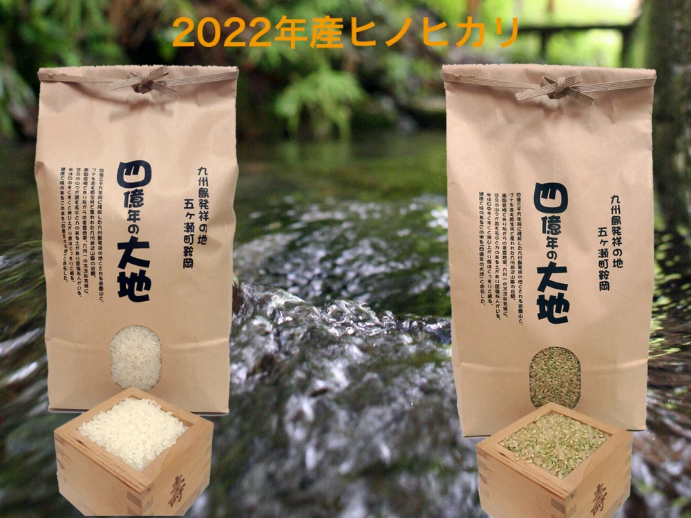 限定セール！ヒノヒカリ白米5㎏+玄米5㎏　2022年度（コロナで困っています）