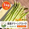 グリーンアスパラ【A品】１ｋｇ/Ｌ～２Ｌサイズ