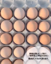 スモールサイズの人気者‼　×75個・名古屋コーチンの小さ目タマゴ(^^)/