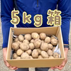 ☆北海道、沖縄等の離島専用☆娘に食べさせたい自然栽培ジャガイモ〈男爵〉