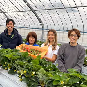 【バリあま】完熟あまおう2パック16～18粒 ウクライナ難民支援【暖家のいちご】