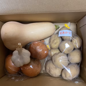 バターナッツ、ジャガイモ、玉ねぎ、ニンニクセット
